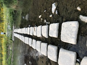 thumbimg