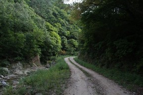 thumbimg
