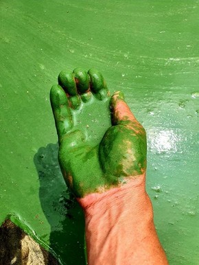 thumbimg