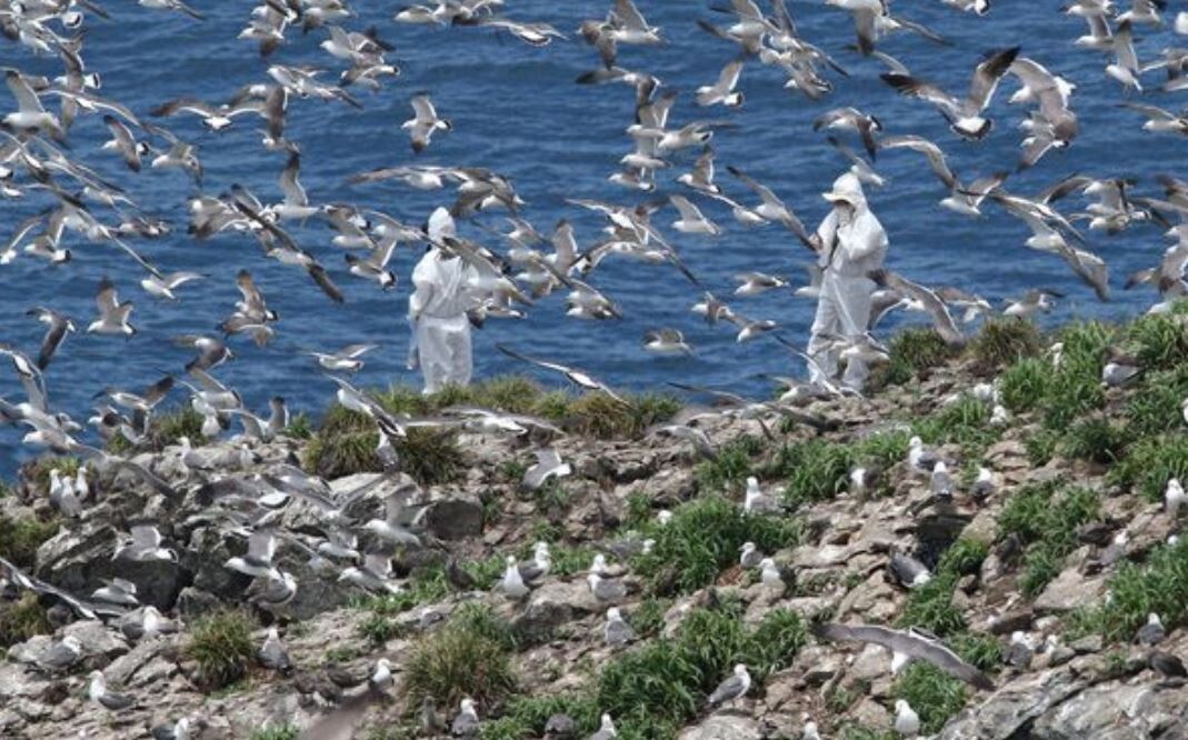국립공원, 한반도 조류 관찰 20년