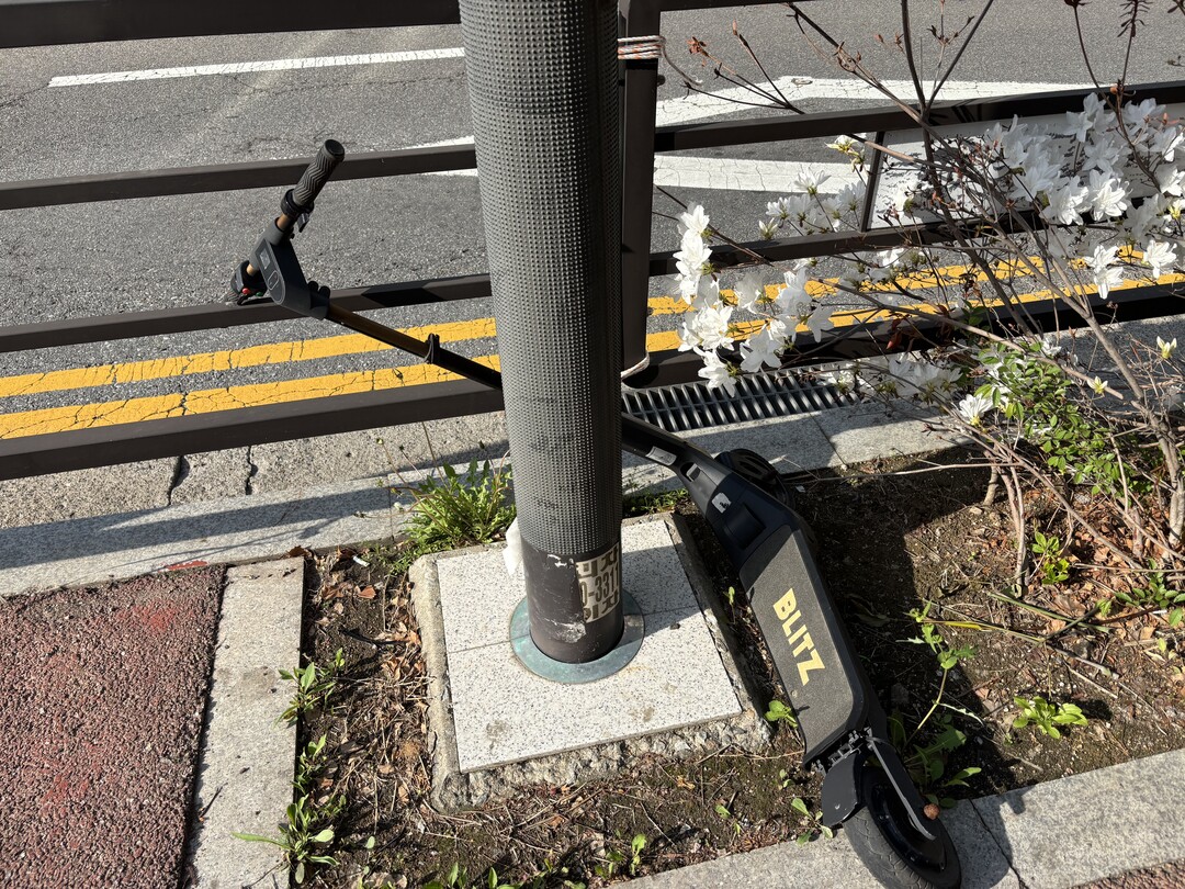 '전동킥보드 없는 거리'...