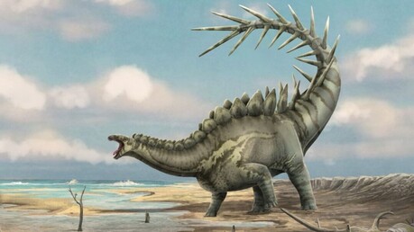 이베리아 동부 스테고사우루스, ‘단일 해안 계통’이었다