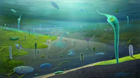 인류 진화의 기원을 다시 쓰다: 중국 윈난성서 ‘캄브리아기 폭발’ 이전 복잡 생명체 화석 무더기 발견