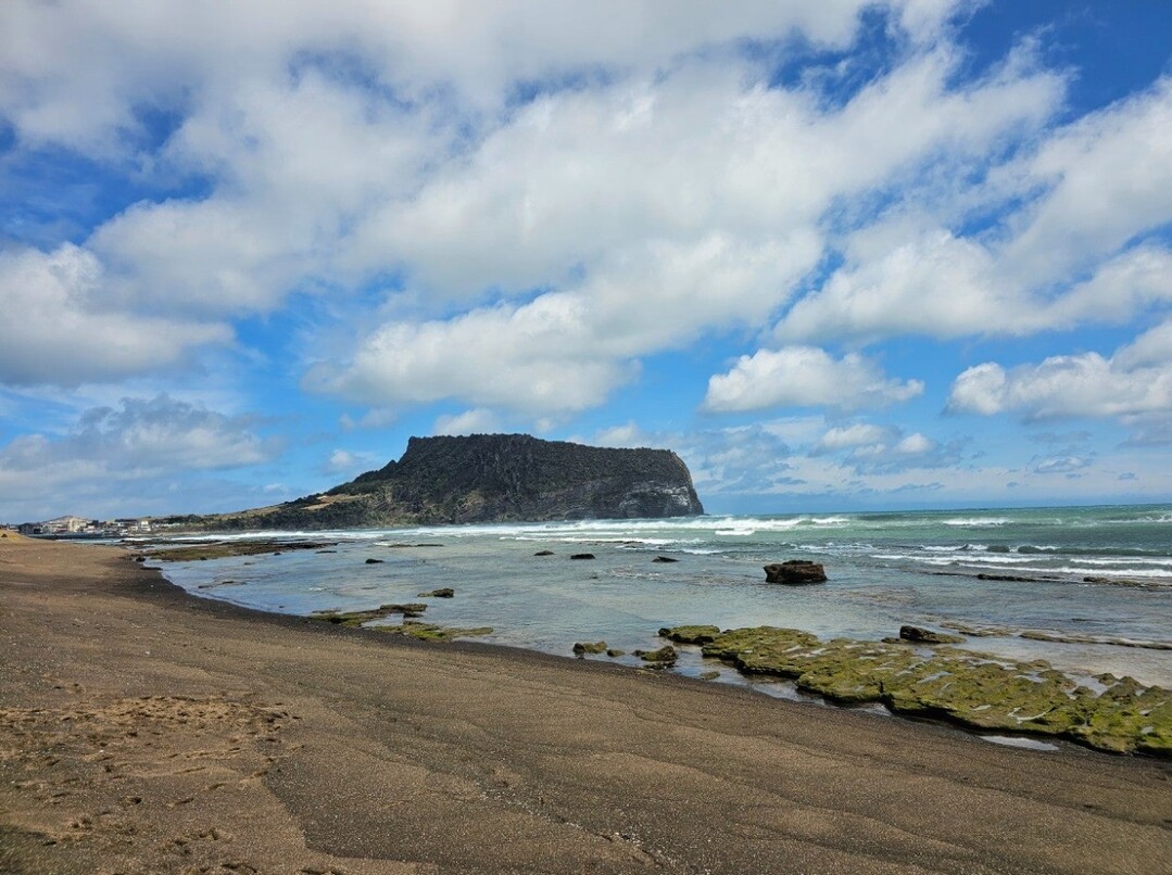 공해와 미세먼지가 없는 세상을 만들어요
