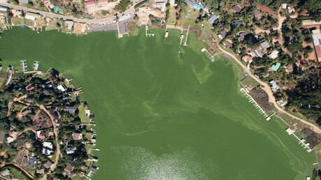 칠레의 눈물, 죽어가는 호수들... ‘환경 관리 부실’이 부른 인재(人災)