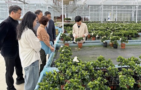 aT, 화훼농가 경영 개선 맞춤형으로