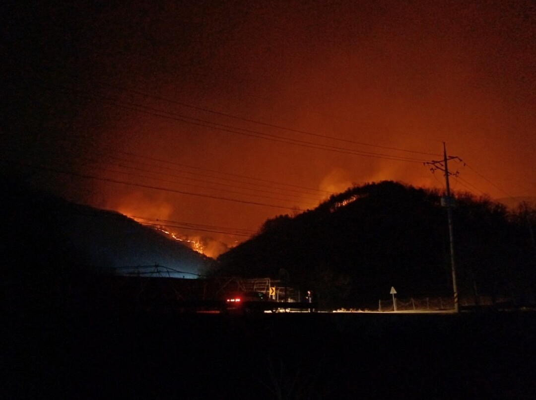 우리의 부주의로 발생하는 산불은 그야말로 자연재앙으로 변하며 생태계가 무너진다