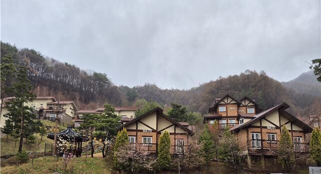 2026년 산림치유형 마음케어 사업 추진