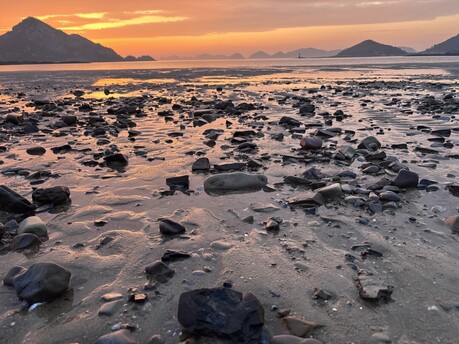 환경법학회, 새만금 신공항, 시선 냉정