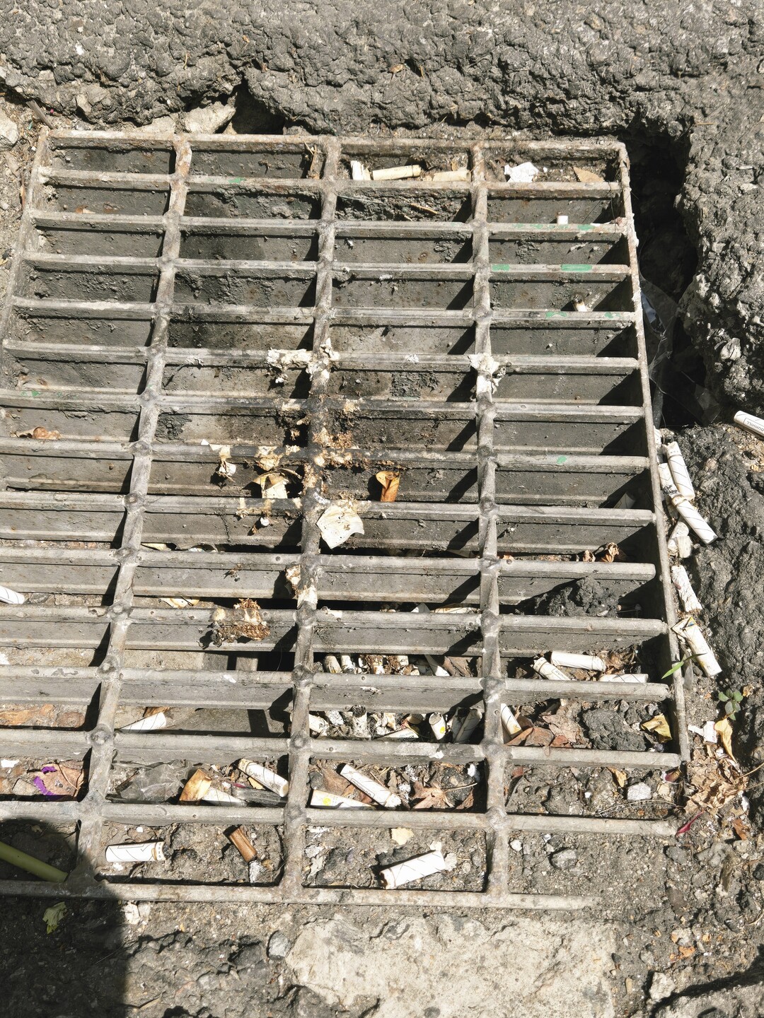 무분별하게 버려지는 담배꽁초, 이를 제재할 조치가 필요하지 않을까?